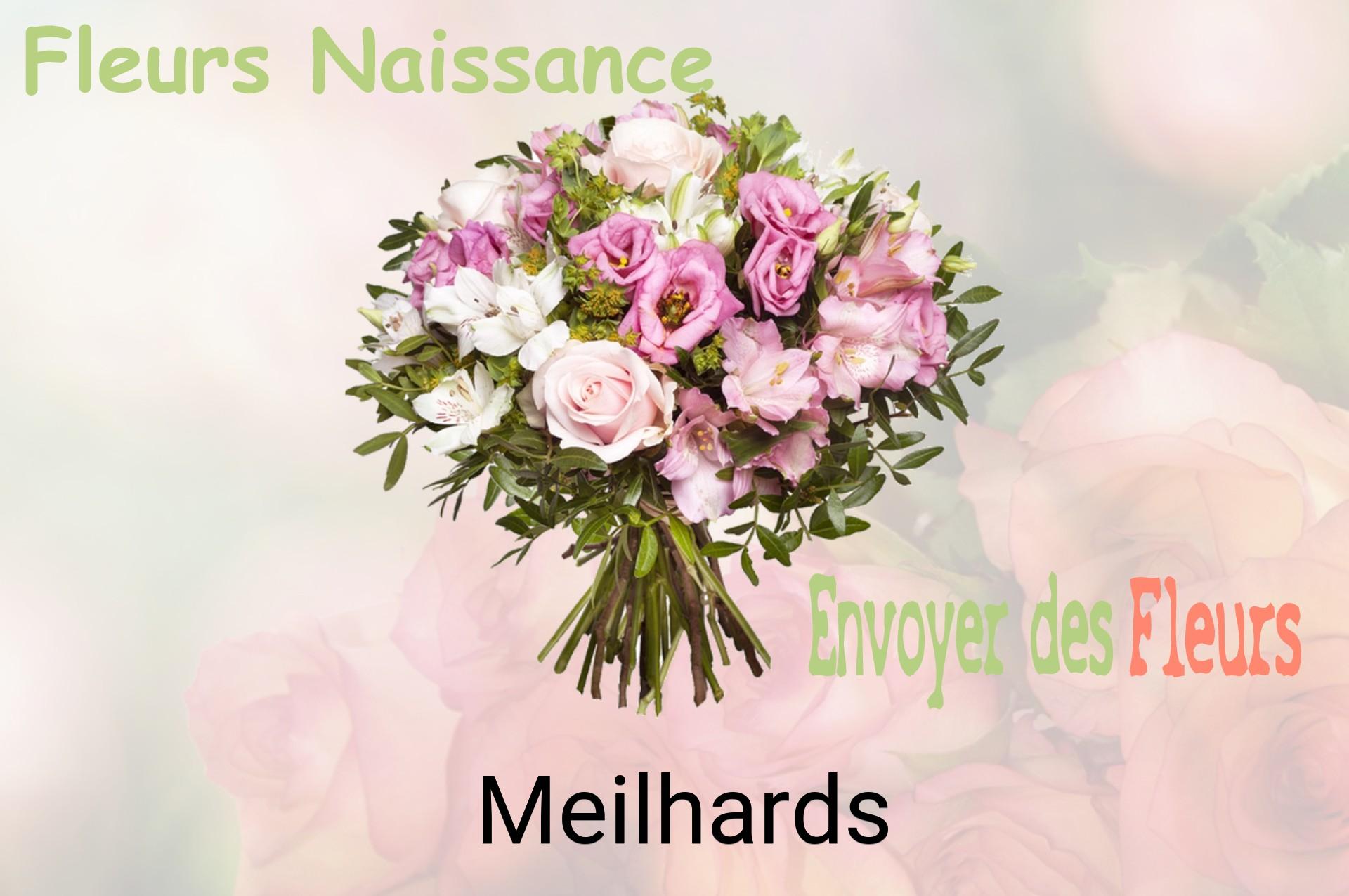 Bouquet de fleurs de naissance livré à Meilhards