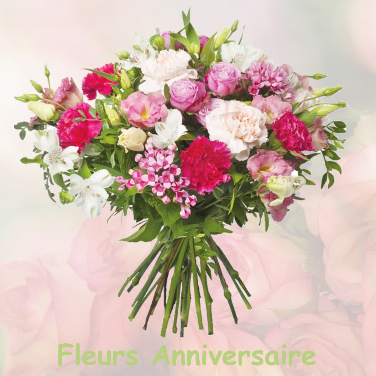 fleurs anniversaire MEILHARDS