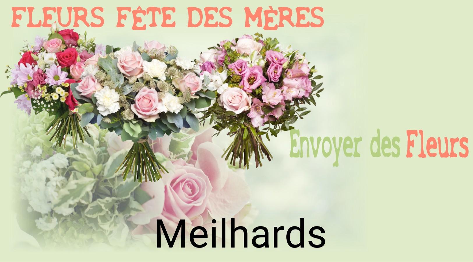 Bouquet de Fête des Mères livré à Meilhards